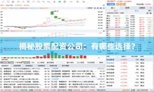 揭秘股票配资公司：有哪些选择？